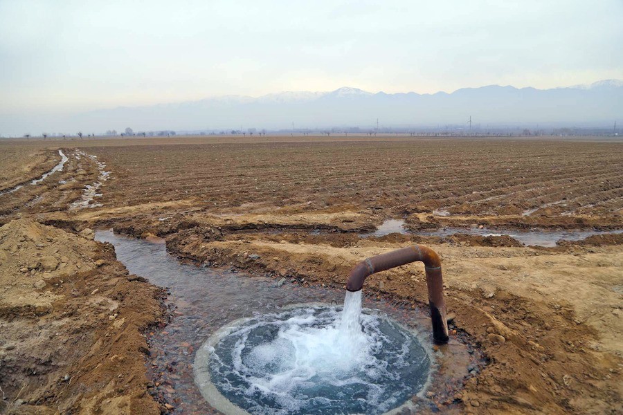 Tax benefits will be introduced for farmers in Uzbekistan who save water from 2025