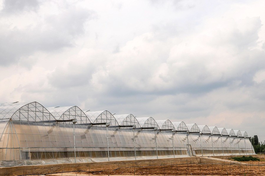 The construction of new greenhouses around Tashkent will be limited from October 1, 2026