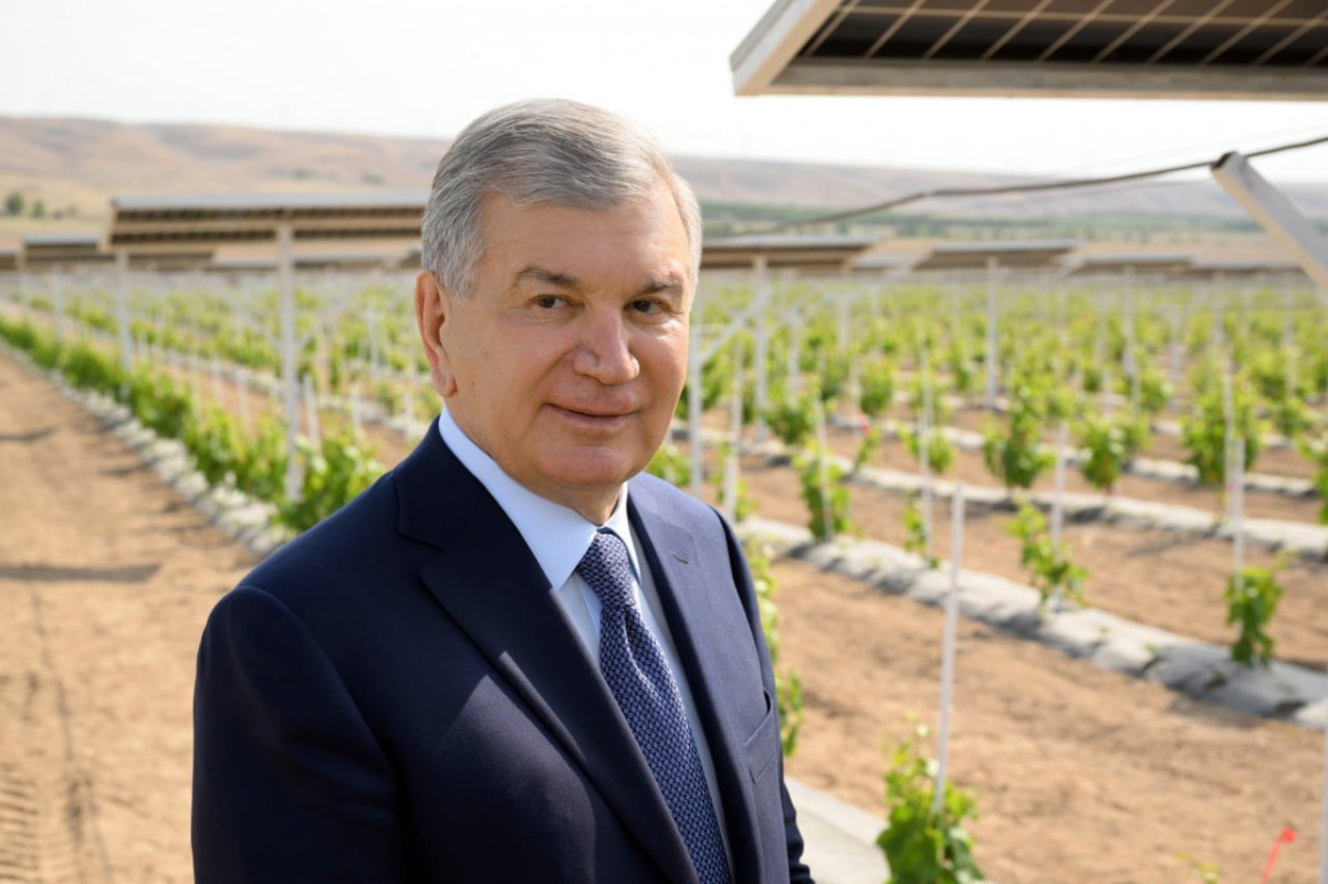 Shavkat Mirziyoyev 熟悉 Kuva 引进的农业光伏技术