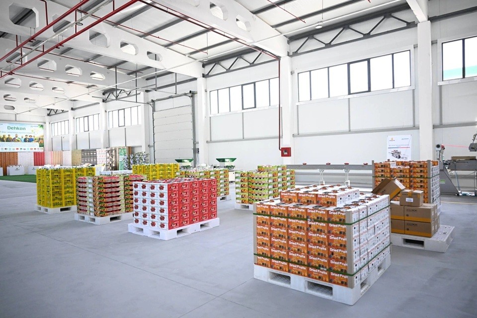 费尔干纳地区水果和蔬菜出口额将增至5亿美元