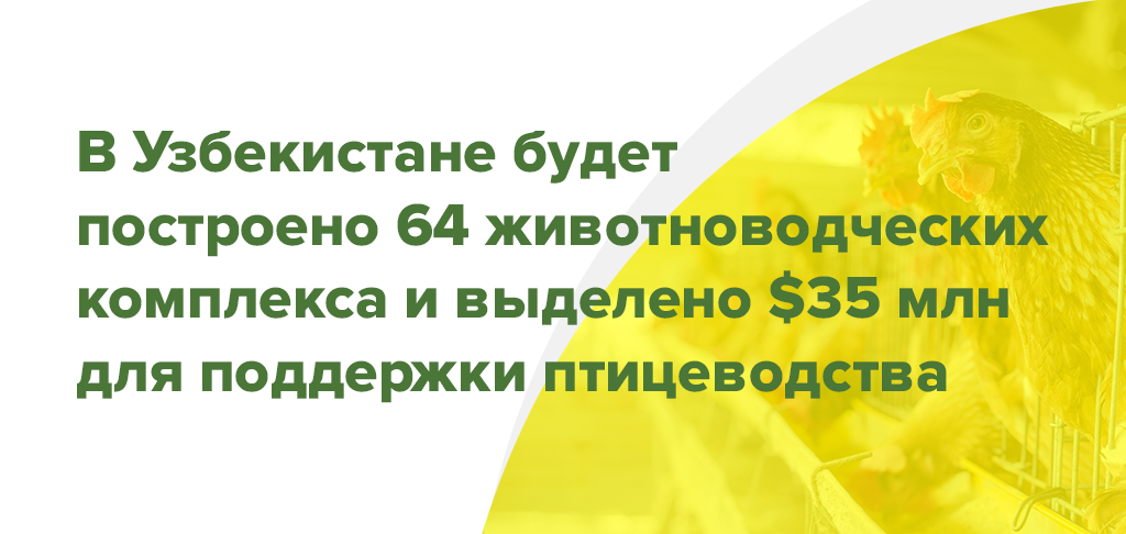 2023年，计划在乌兹别克斯坦建设64个畜牧综合体，并拨款3500万美元支持家禽企业。