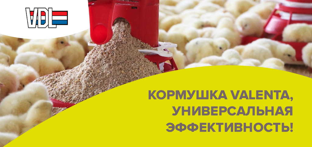 来自全球制造商 VDL Agrotech 的喂料器 Valenta