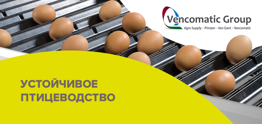 对家禽养殖业未来的思考