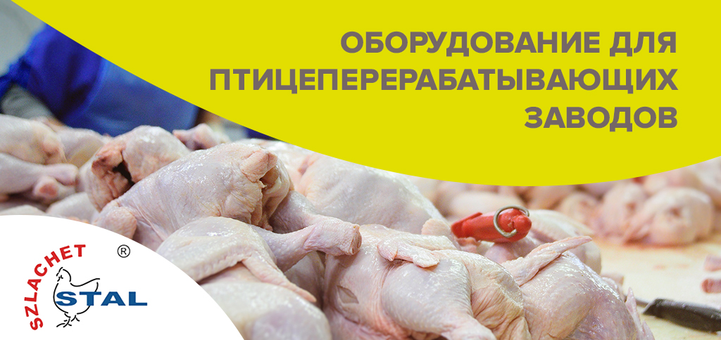 家禽加工厂设计设备