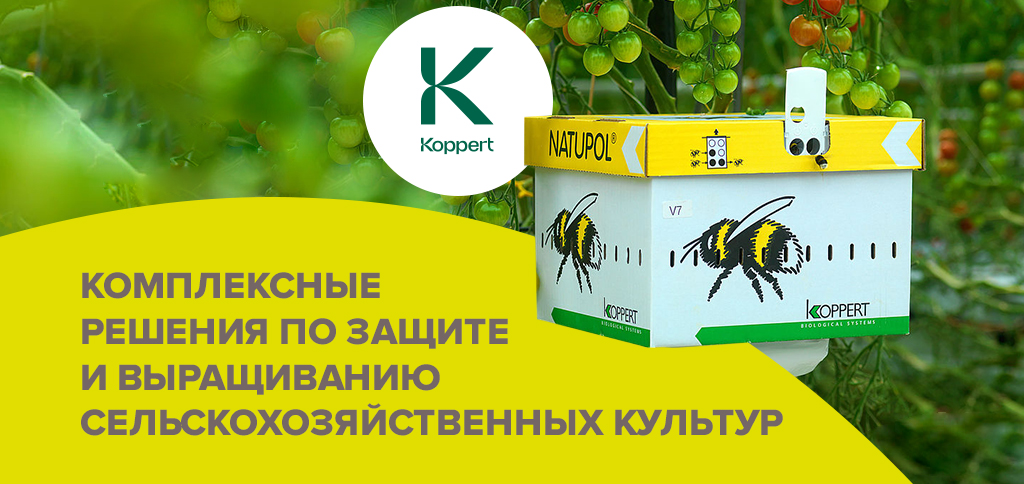 农作物保护与栽培综合解决方案