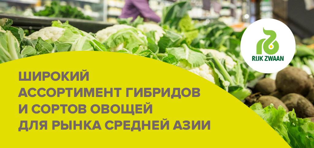 适合中亚市场的各种杂交种和蔬菜品种